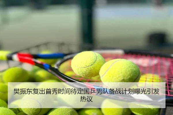 樊振东复出首秀时间待定国乒男队备战计划曝光引发热议